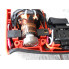 Дрель/шуруповерт Makita M6501 Дрель/шуруповерт Makita M6501