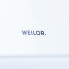 Вытяжка Weilor PDL 62304 WH 1100 LED Strip