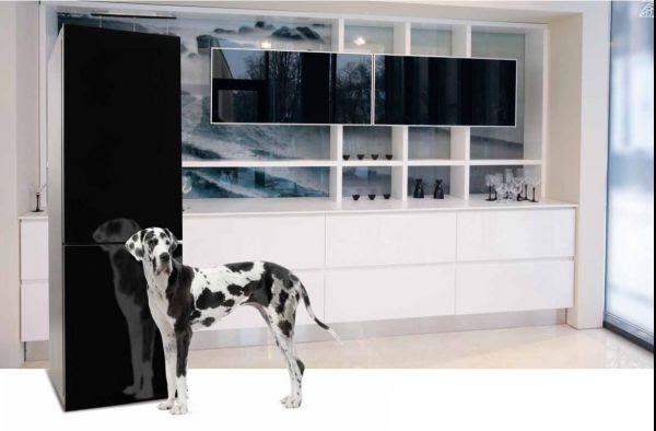 купить холодильник Snaige